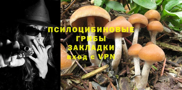 индика Абдулино